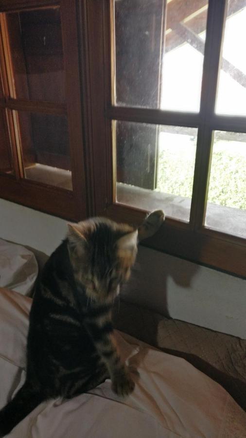 オルタCasa Idilicaアパートメント エクステリア 写真